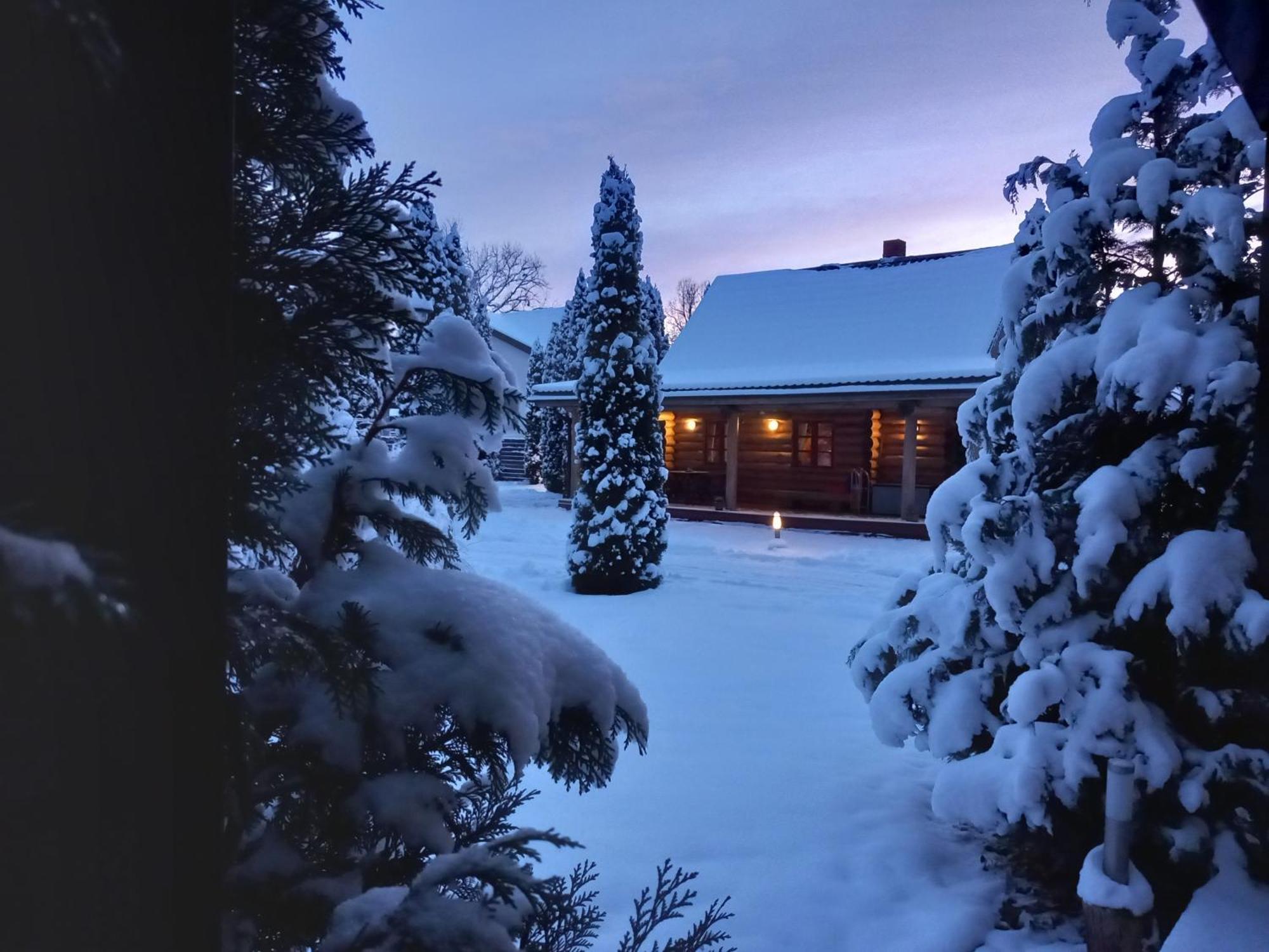Forest Edge Lodge Ρίγα Δωμάτιο φωτογραφία