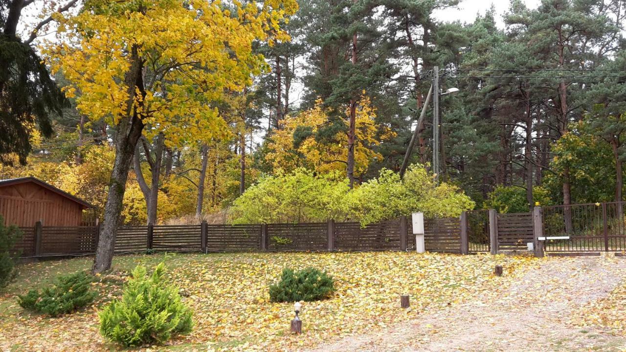 Forest Edge Lodge Ρίγα Εξωτερικό φωτογραφία